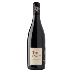 Domaine Des Roches Neuves - Saumur Champigny Rouge Terres Chaudes | Red Wine